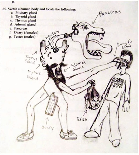 pupil text book funnies 4